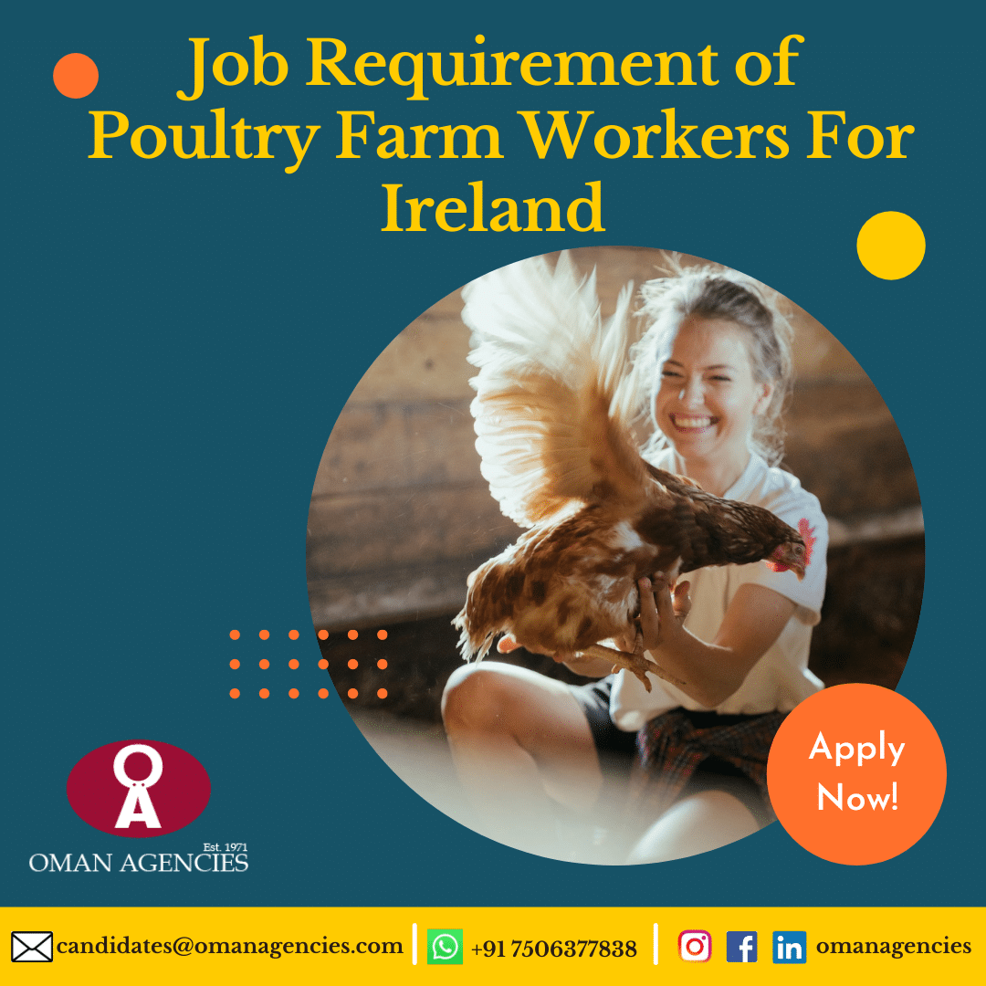 poultry jobs in europe