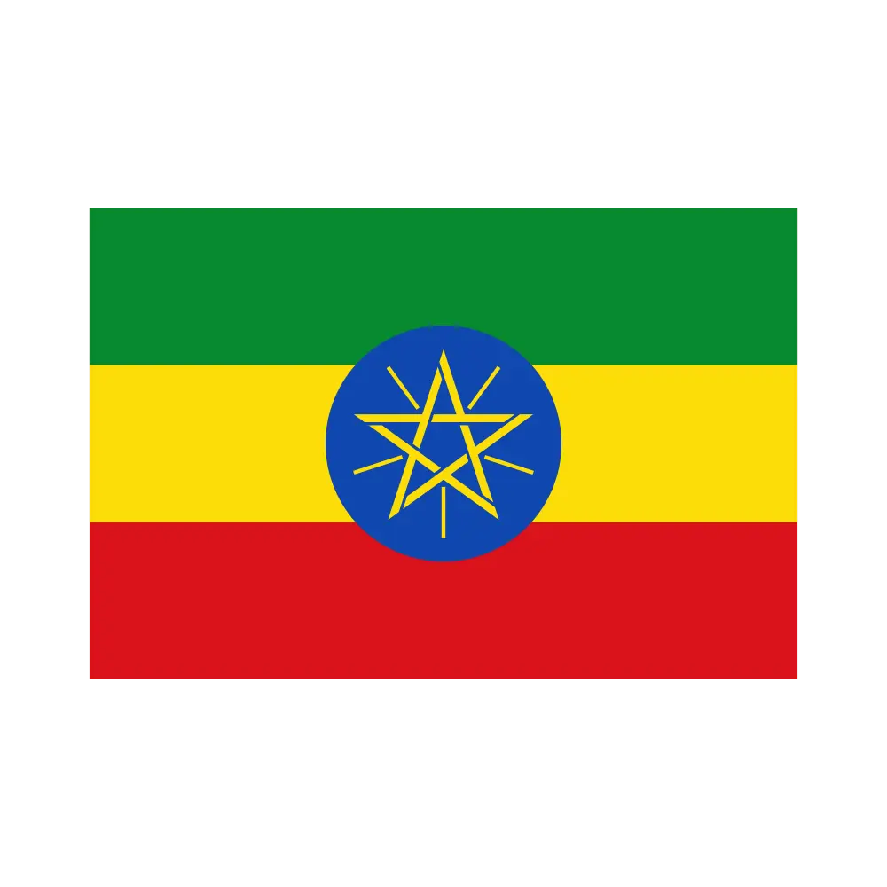 Ethiopia Manpower Recruitment for Overseas Projects