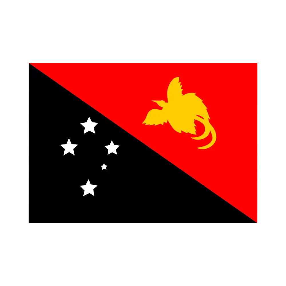 Skilled workers from Guinea ready for international employment