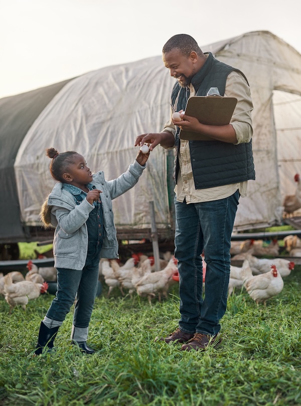 Shot of a man working with his adorable daughter on a chicken farm.